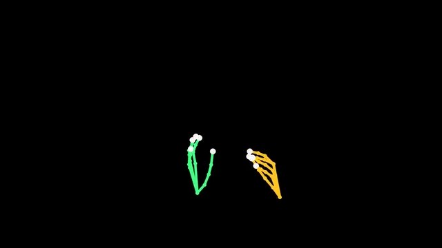 Still frame from this slide’s video